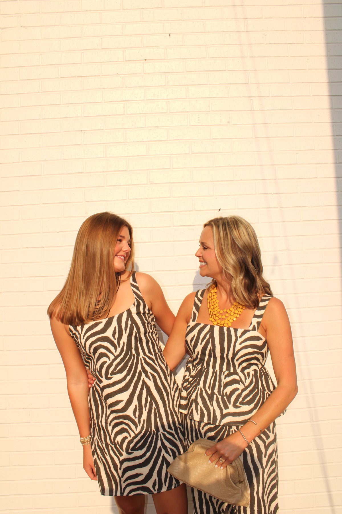 Brown-and-Cream Zebra Print Mini Dress