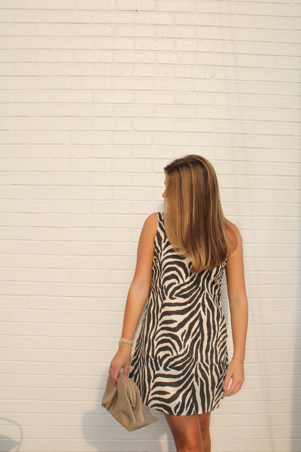 Brown-and-Cream Zebra Print Mini Dress