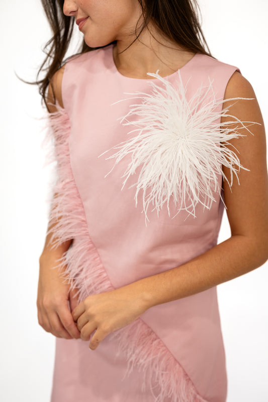 Feather Trim Sleeveless Mini Dress